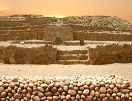 Bandurria Perú